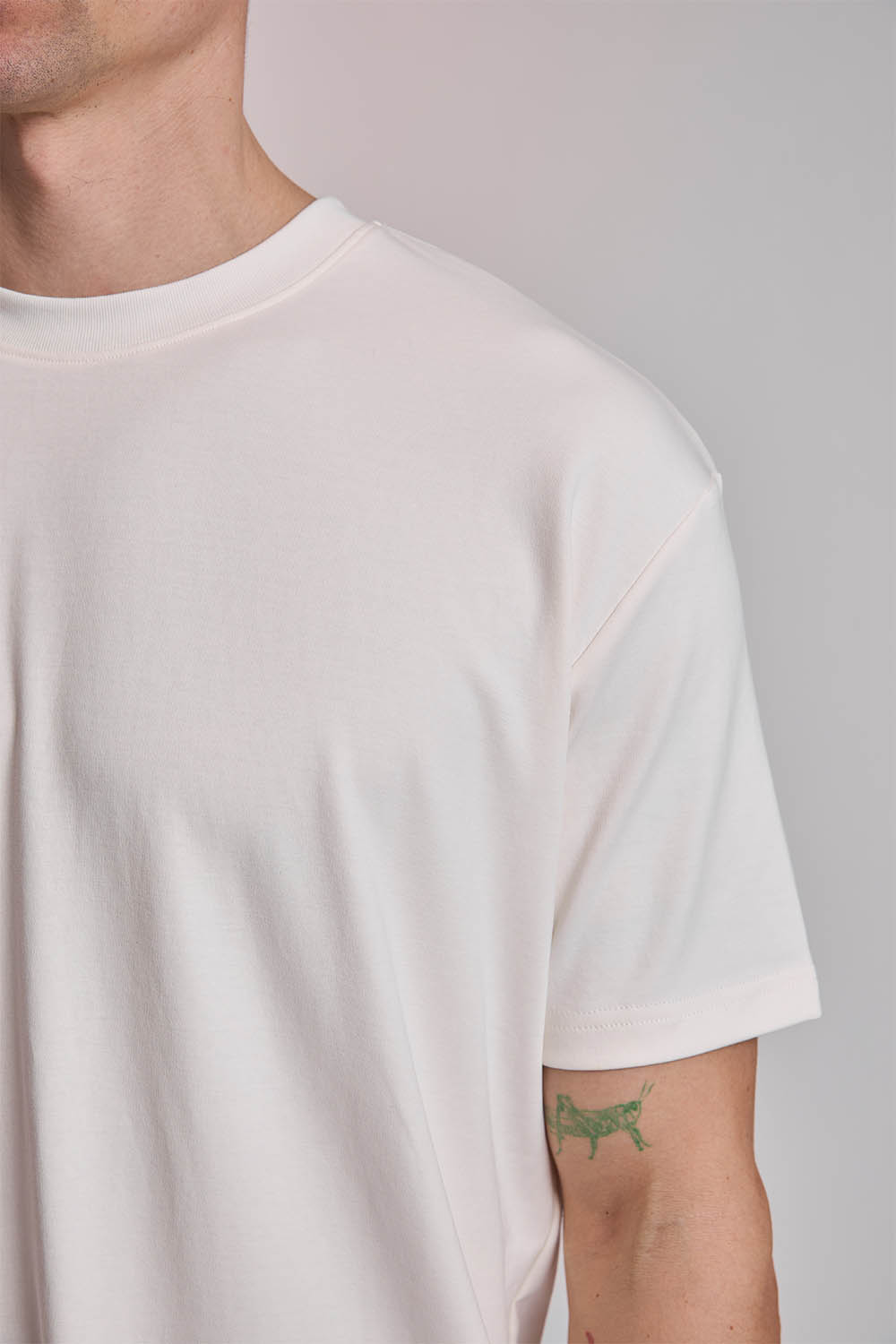 TSH482S6_0002_TSH482S6, PAH165S6 (14)